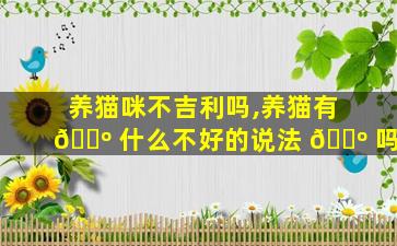 养猫咪不吉利吗,养猫有 🐺 什么不好的说法 🌺 吗